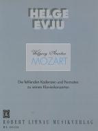 The Missing Cadenzas and Fermatas 