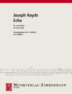Echo Standard