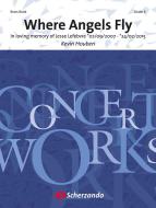 Where Angels Fly 