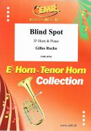 Blind Spot Standard