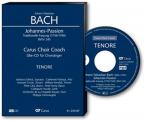 St. John Passion BWV 245 