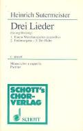 Drei Lieder Download