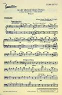 Blue Danube Op. 314 Download