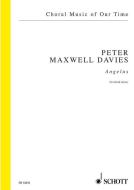 Angelus Download