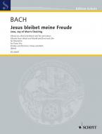 Jesu, Joy of Man's Desiring BWV 147 Download