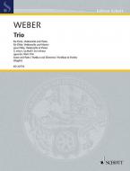 Trio G Minor Op. 63 Wev P.14 Download