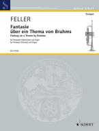 Fantasy on a Theme by Brahms Download