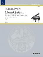 5 Concert Studies Op. 52 Download