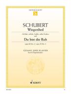 Wiegenlied / Du bist die Ruh Download