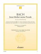 Jesu, Joy of Man's Desiring BWV 147 Download
