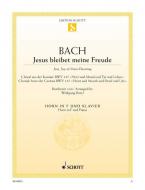 Jesu, Joy of Man's Desiring BWV 147 Download