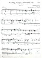 Herr Jesu Christ, wahr' Mensch und Gott Download