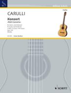 Concerto E Minor Op. 140 Download
