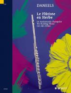 The Budding Flutist Download