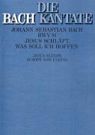 Jesus schläft, was soll ich hoffen 