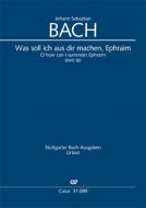 Was soll ich aus dir machen, Ephraim Standard