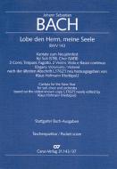 Lobe den Herrn, meine Seele (I) 