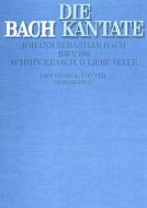 Schmücke dich, o liebe Seele Download