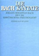 Erwünschtes Freudenlicht Standard