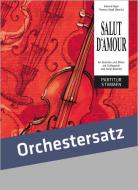 Salut d'amour op. 12 