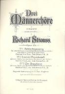 Three Male Choruses Op. 45 No. 3: Der Brauttanz Download