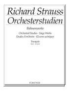 Orchestral Studies from his Stage Works: Flute Vol. 1 Download