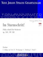 Im Sturmschritt! op. 348 