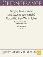 Und Susanne kommt nicht - Nur zu flüchtig - Wohin flohen Standard