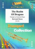 The Realm Of Dragons Standard