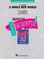 A Whole New World Standard