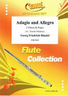 Adagio and Allegro Standard