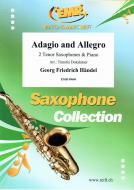 Adagio and Allegro Standard
