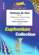 Sinfonia Bb-Dur BWV 29 / 1 Standard