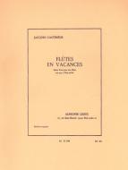 Flutes Trav. en Vacances 