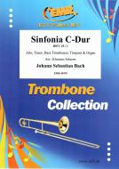 Sinfonia C-Dur BWV 29 / 1 Download