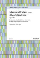 Evening Serenade Op. 42,1 Download