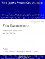 Vom Donaustrande op. 356 RV 356 Download