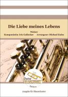 Die Liebe meines Lebens 