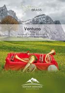 Ventuno 