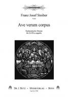 Ave verum corpus 