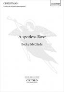 A spotless Rose 