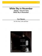 White Sky In November 