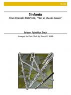 Sinfonia (from Non sa che sia dolore) 