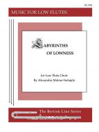 Labyrinths of Lowness 