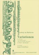 Variations on the theme 'Reich mir die Hand, mein Leben' 