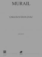 Cailloux dans l'eau 