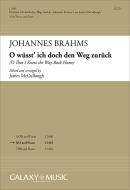 O wüsst' ich doch den Weg zurück 