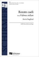 Rorate caeli from Vidimus stellam 