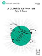 A Glimpse Of Winter Standard