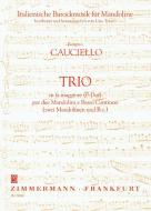 Trio per due Mandolini e Basso Continuo 